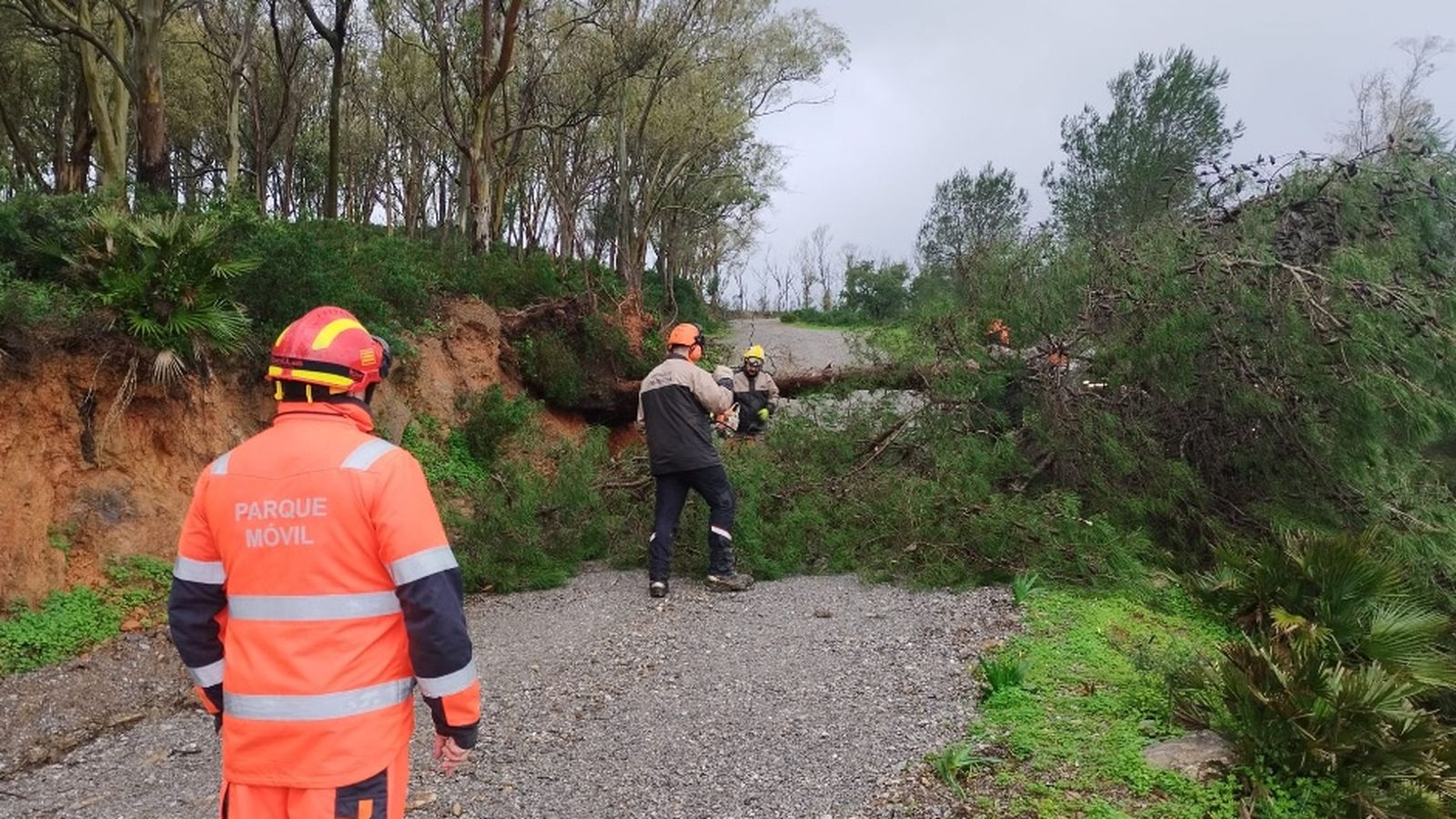 El Parque Móvil de Ceuta se empleó a fondo durante los diferentes temporales