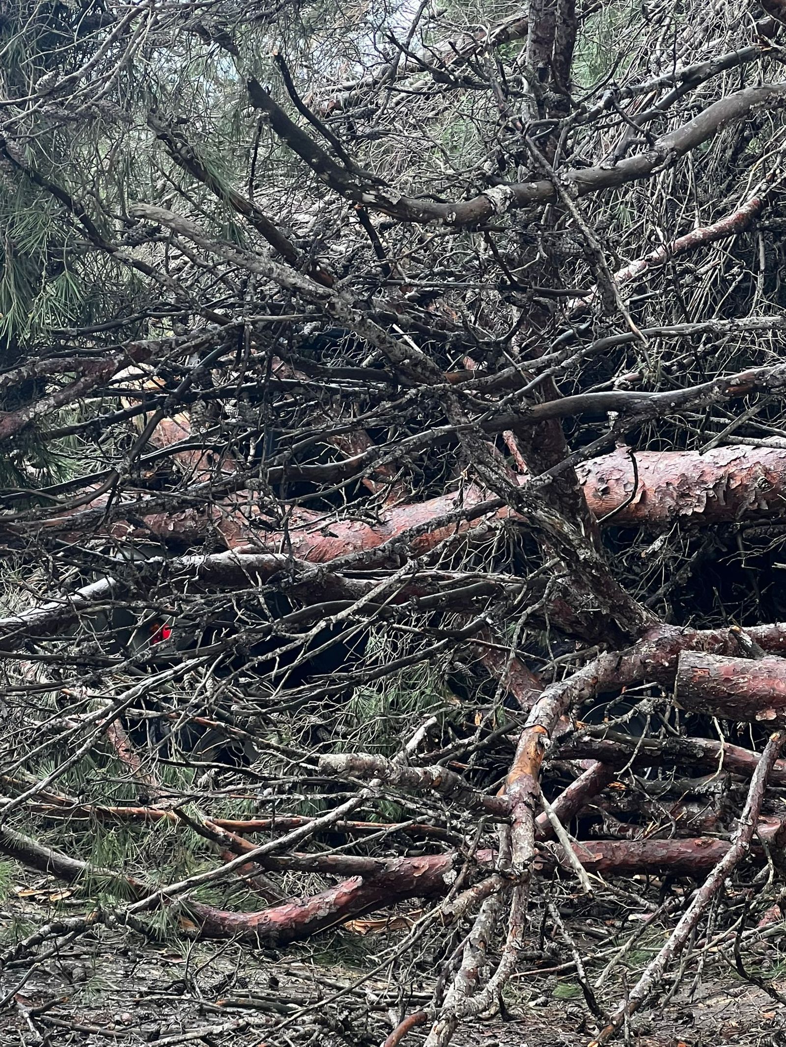 Vea las imágenes más impactantes del temporal