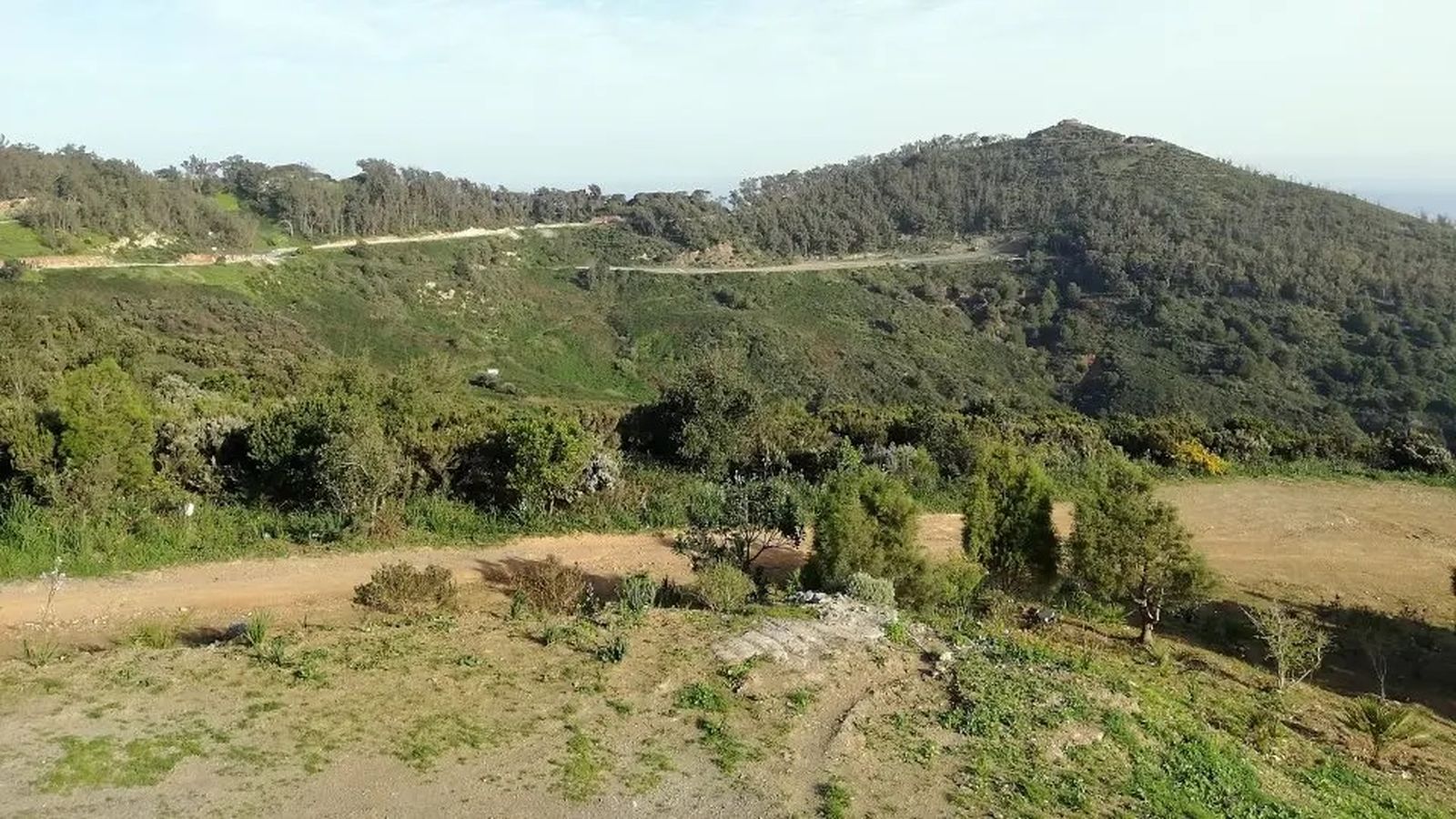 Zona de García Aldave