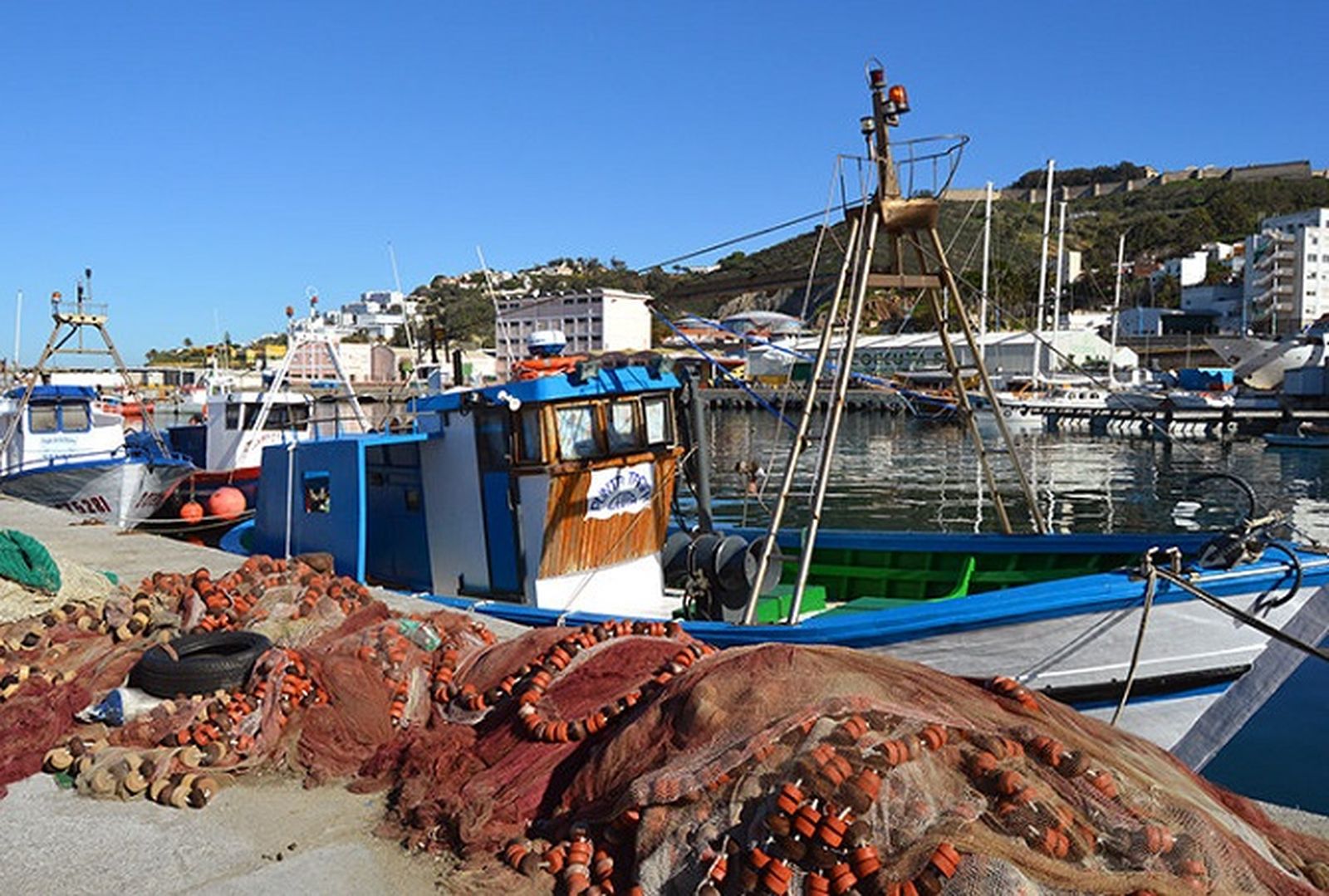 Lonja de Ceuta. / FOTO EL PUEBLO