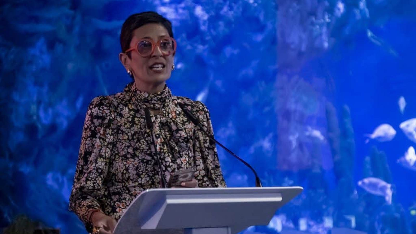 Intervención de la consejera ceutí Kissy Chandiramani