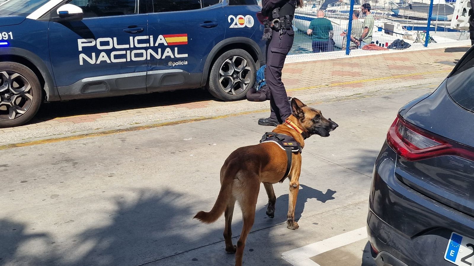 La Unidad Canina fue fundamental para la detención de la droga