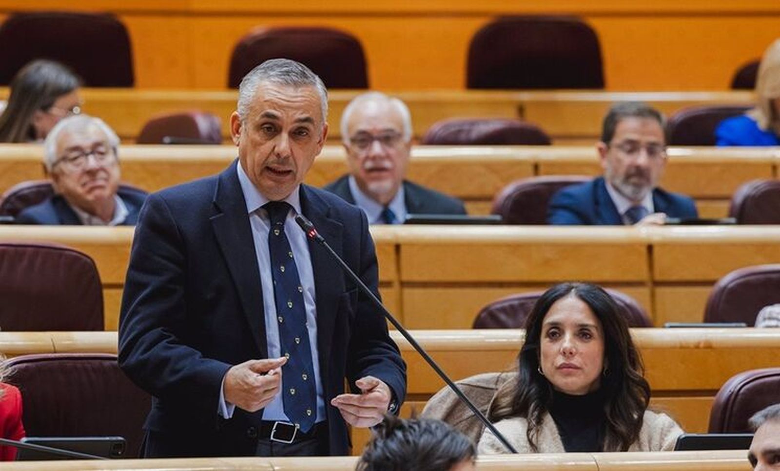 Ángel Pelayo, en una de sus intervenciones en el Senado
