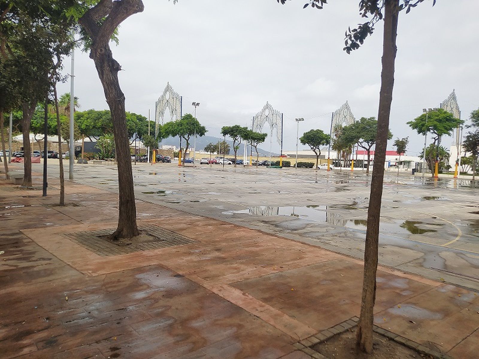 Árboles en el parque urbano Juan Carlos I
