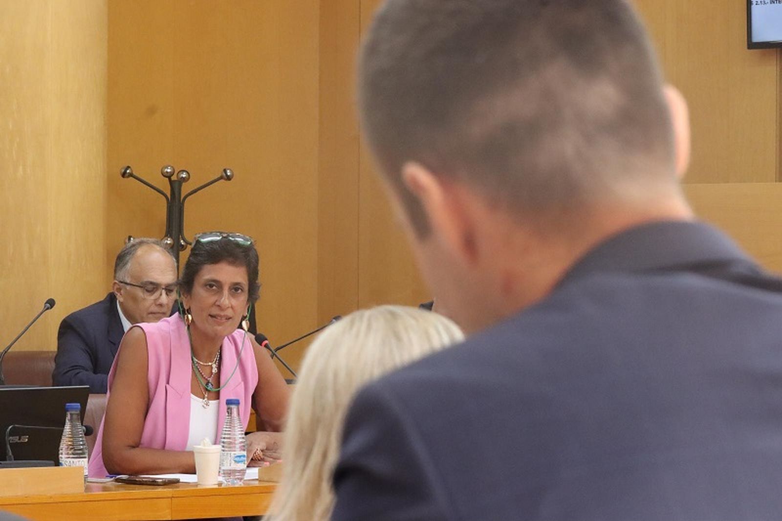 La portavoz del PP, Kissy Chandiramani, responde al diputado de Vox, Carlos Verdejo, en el pleno de hoy. / FOTO REDUAN