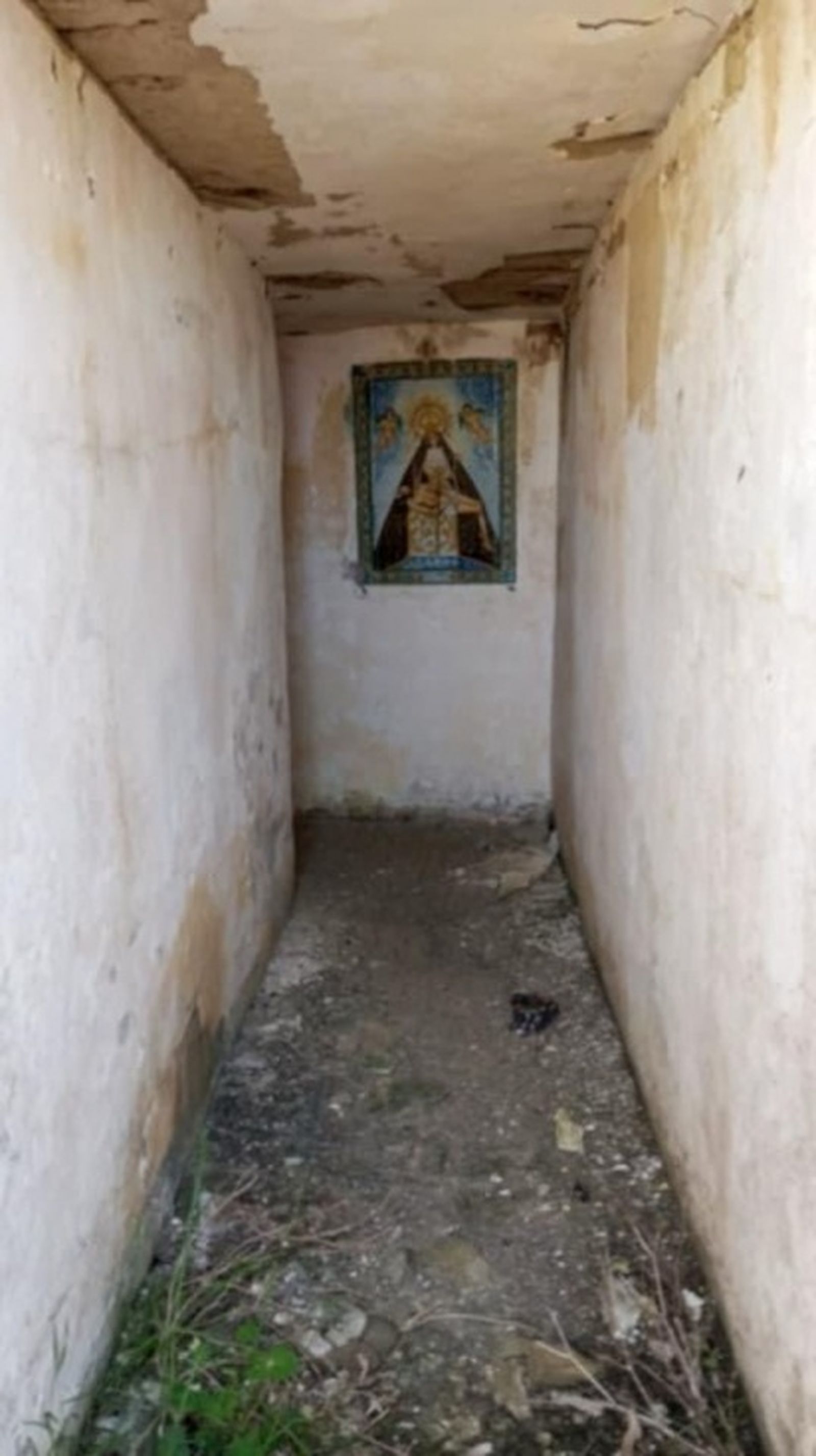 FOTO CEDIDA POR PEDRO ÁLVAREZ TAZON