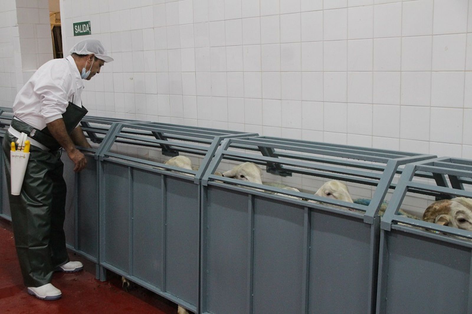 7617_webnueva-maquinaria-matadero-municipal_004 7617_webnueva-maquinaria-matadero-municipal_004