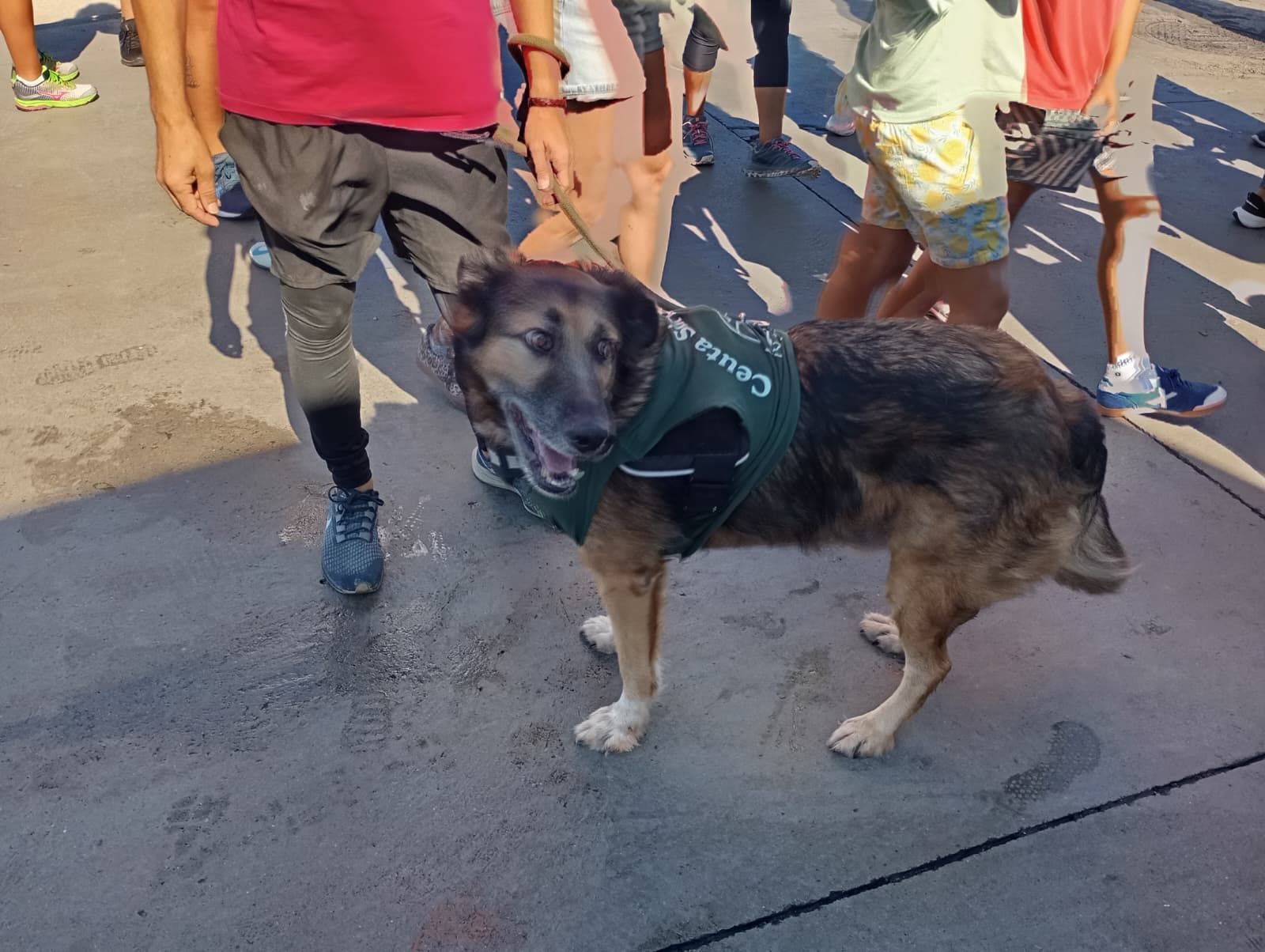 Bonita mañana ecológica en la playa de San Amaro
