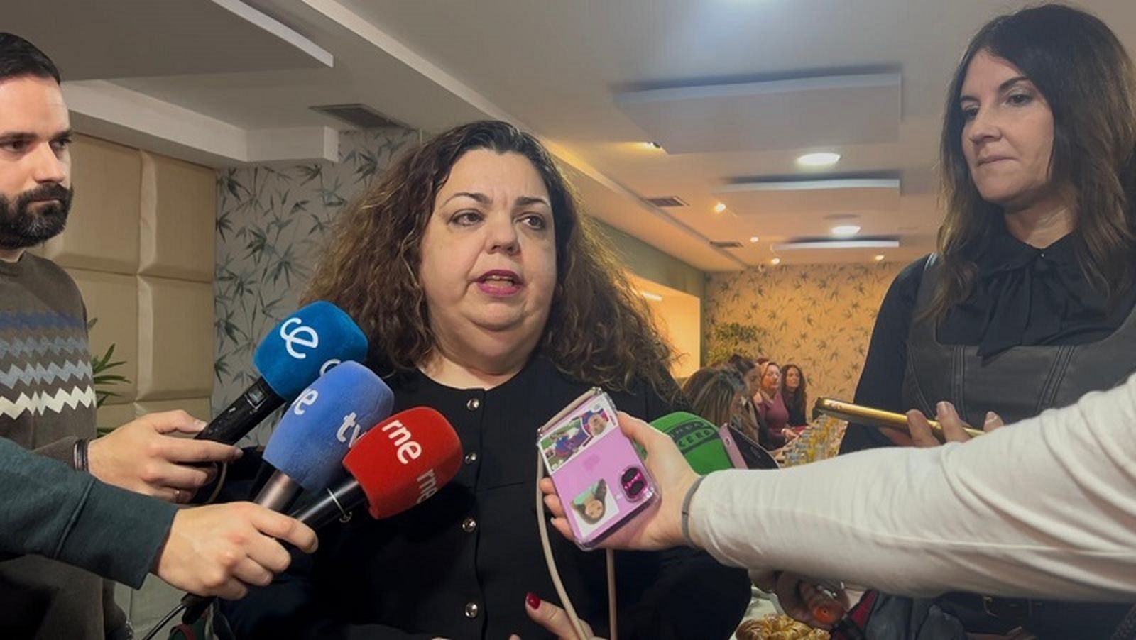 La delegada del Gobierno, Cristina Pérez, en declaraciones a la prensa. / FOTO REDUAN