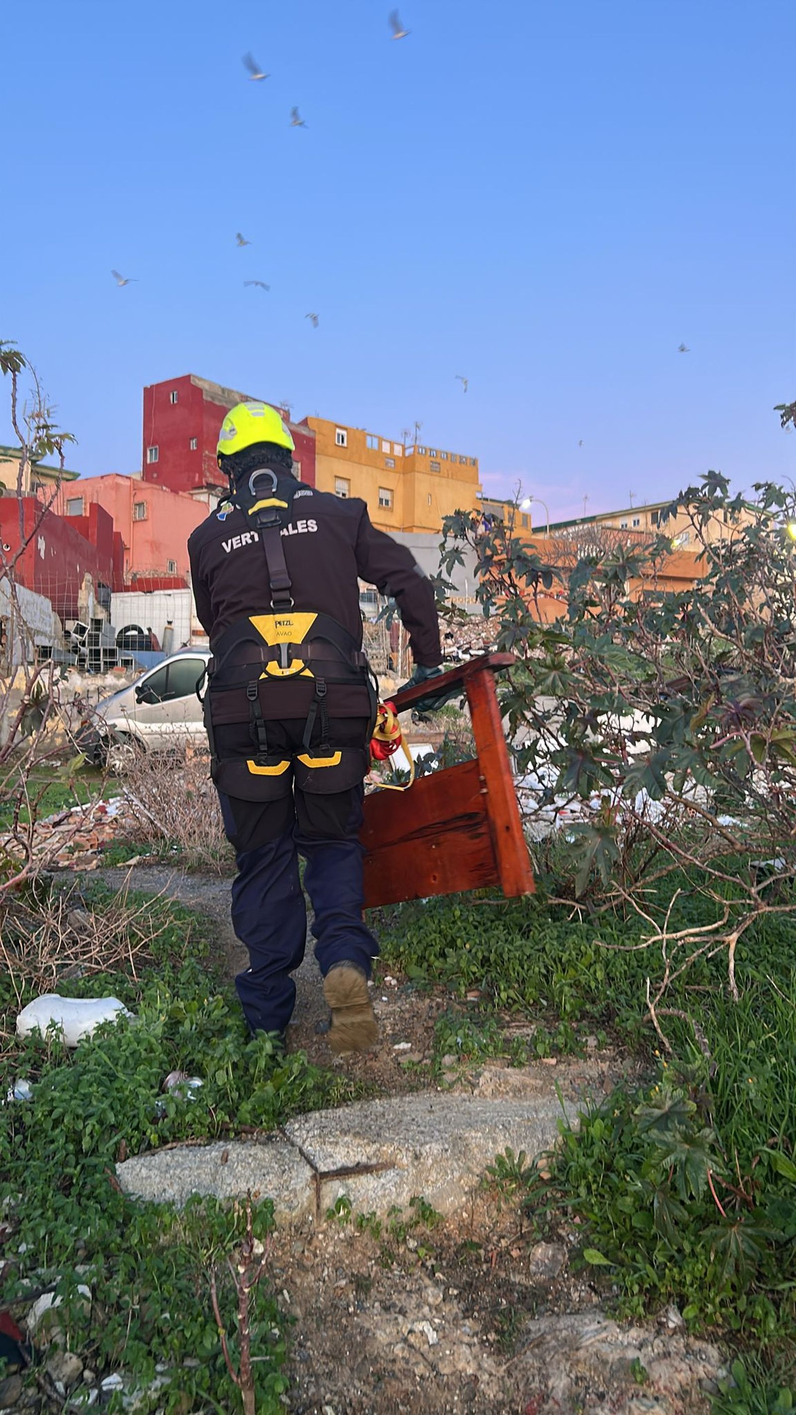 Las Brigadas Verticales limpian residuos en la barriada del Príncipe Felipe.