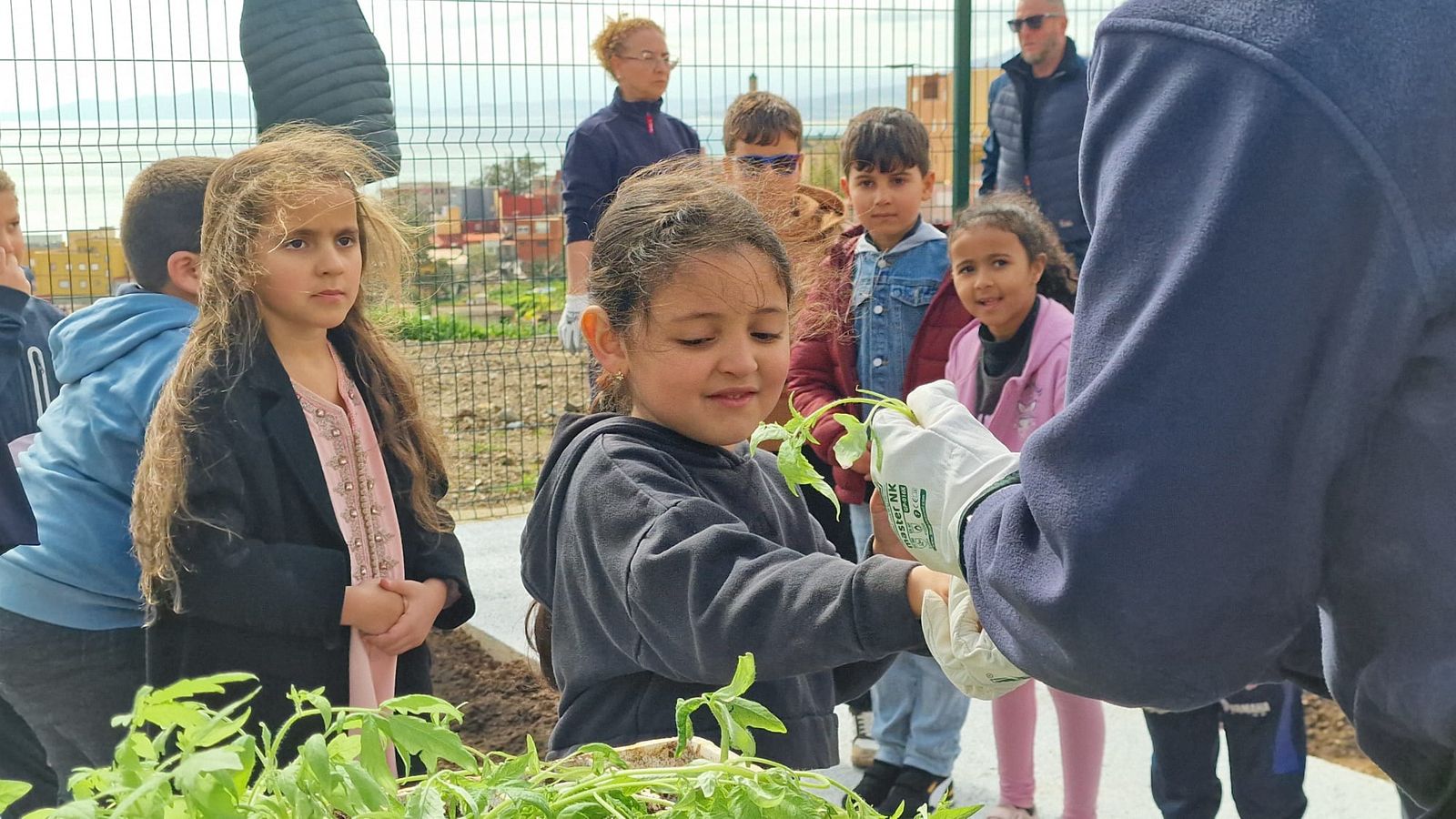 Niños y niñas en contacto con la naturaleza dentro del huerto urbano