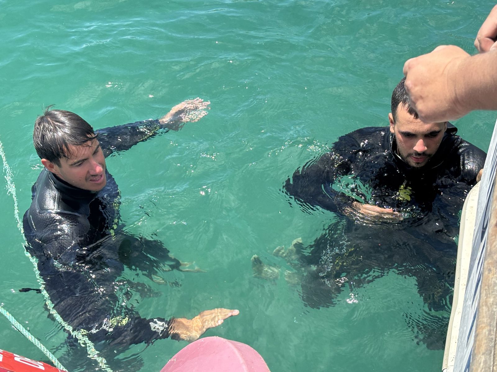 Ceuta blinda sus playas contra las medusas: el trabajo invisible que garantiza un verano seguro en el mar