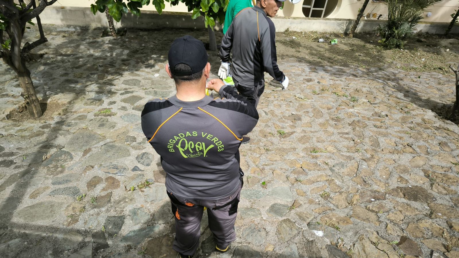 La Ciudad actúa tras las denuncias vecinales y limpia la vaguada de Miramar Alto
