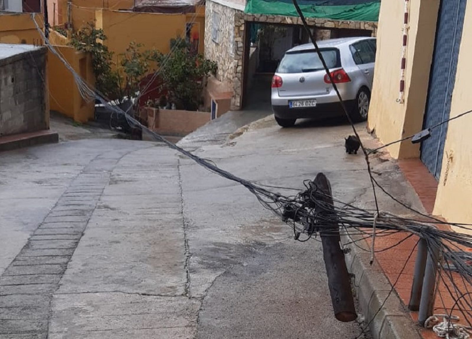 FOTO CEDIDA