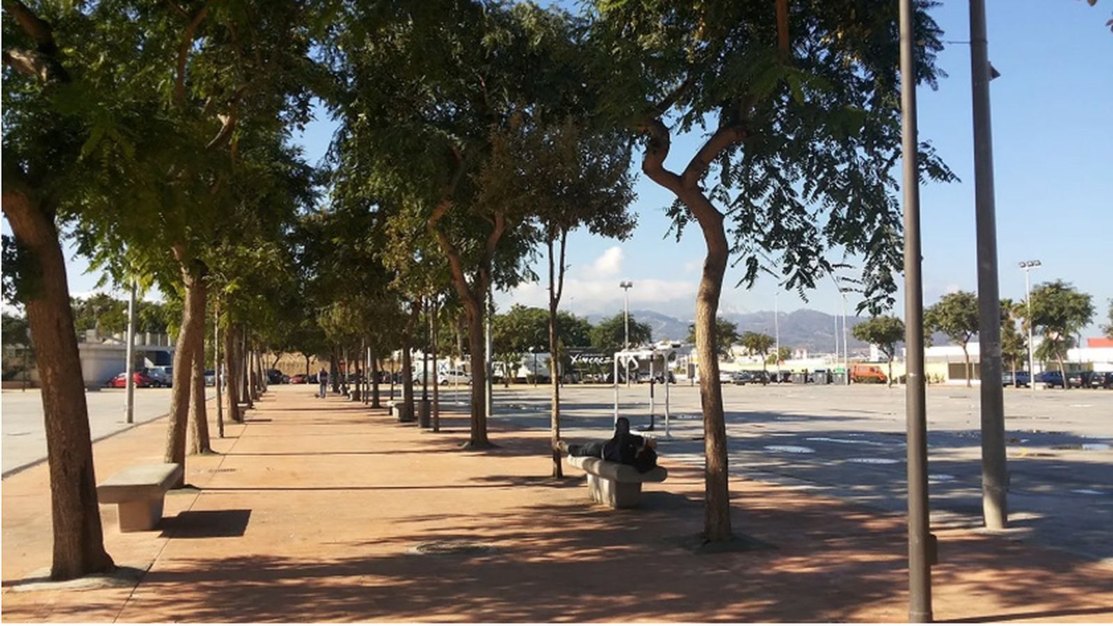 Zona arbolada del parque urbano Juan Carlos I