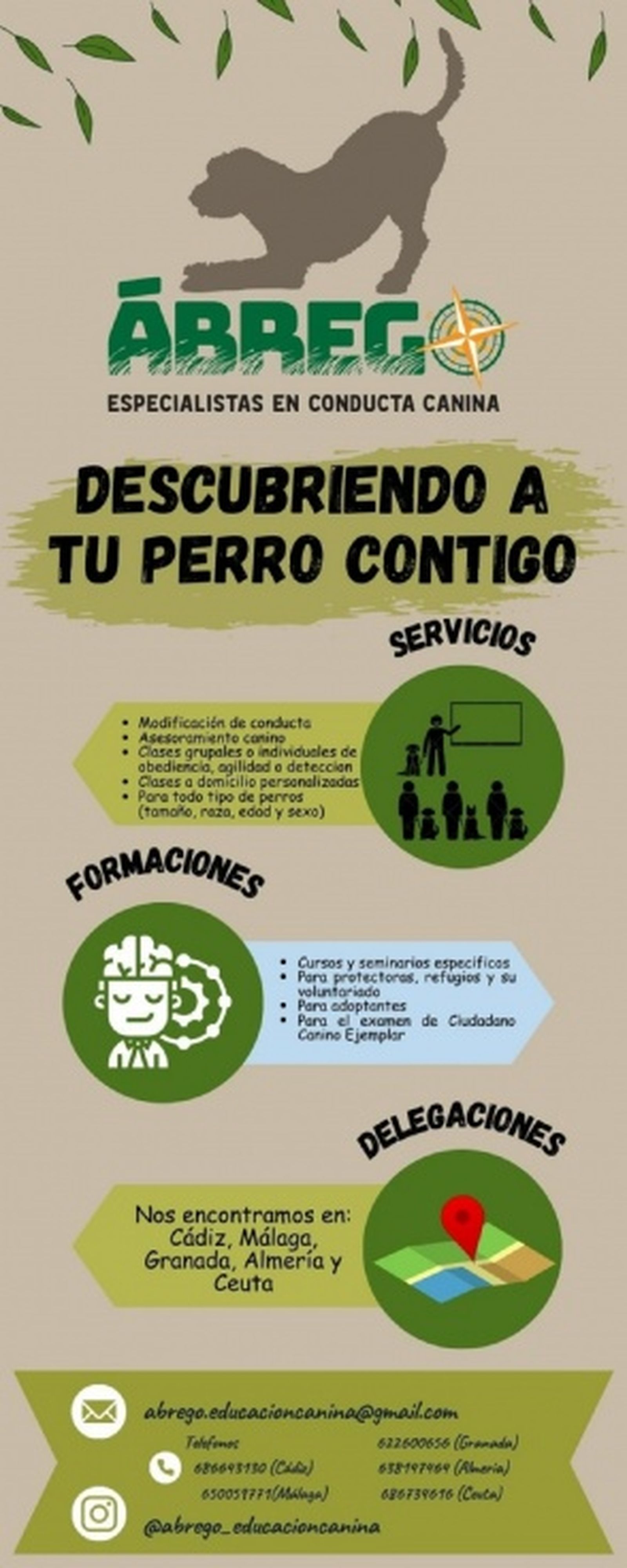 FOTO ÁBREGO FOTO ÁBREGO