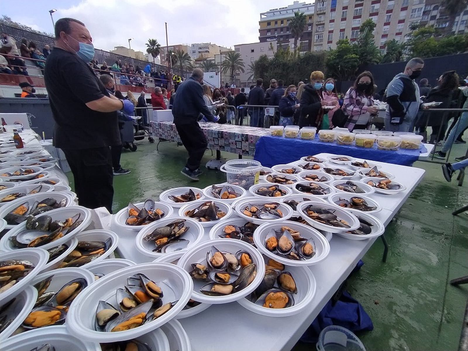 Mejilloná de Ceuta. / FOTO EL PUEBLO