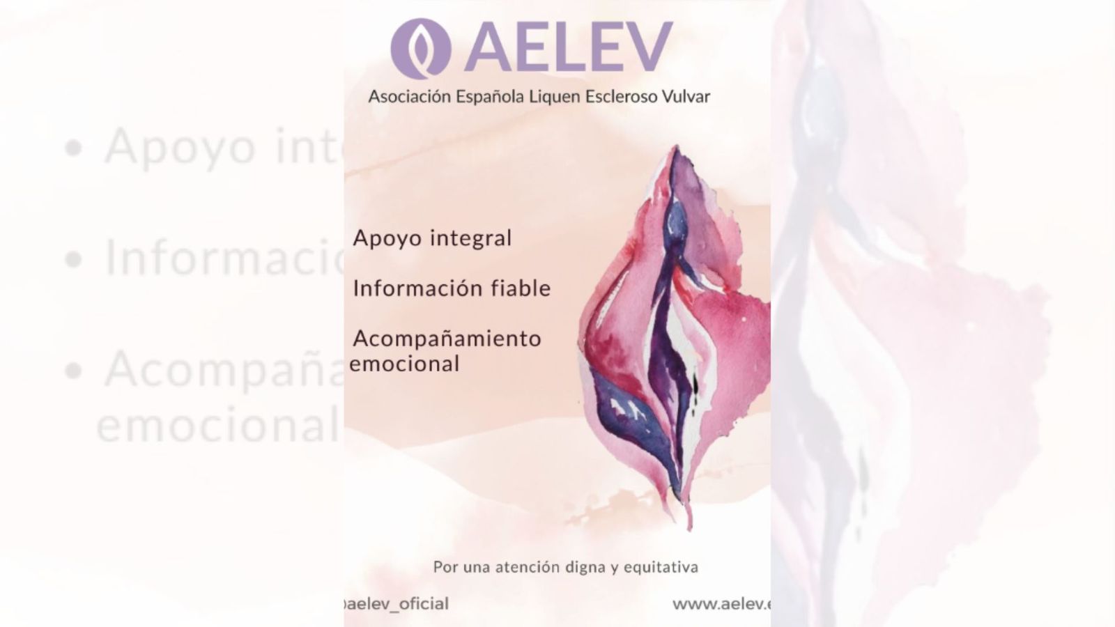 Cartel de la AELEV