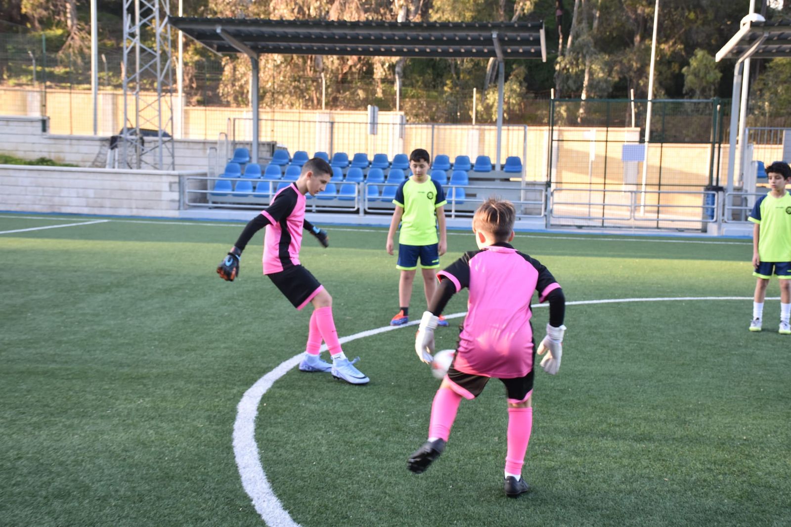 Campos del Príncipe