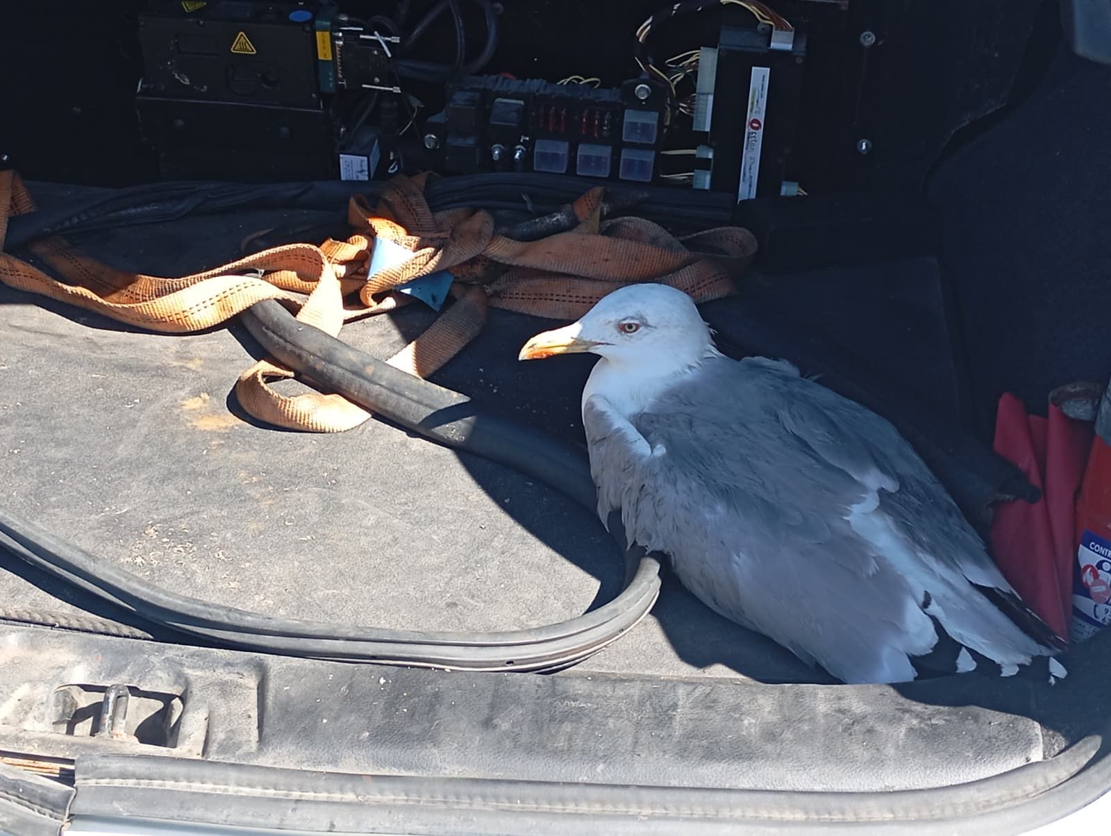 Bonita mañana ecológica en la playa de San Amaro