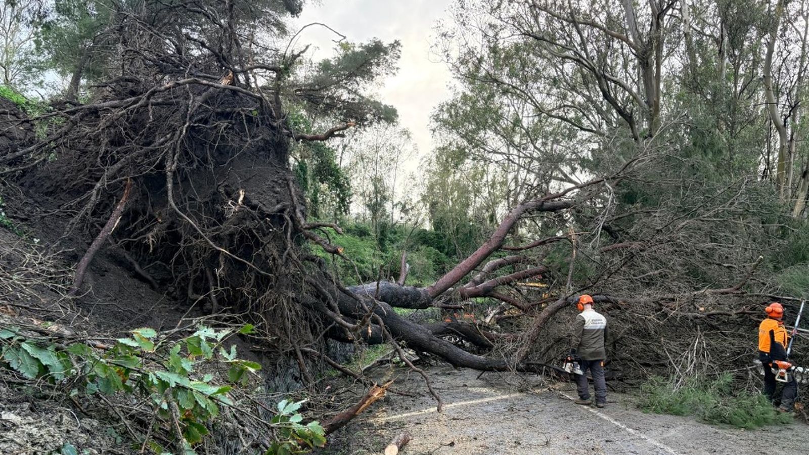 El Parque Móvil de Ceuta se empleó a fondo durante los diferentes temporales