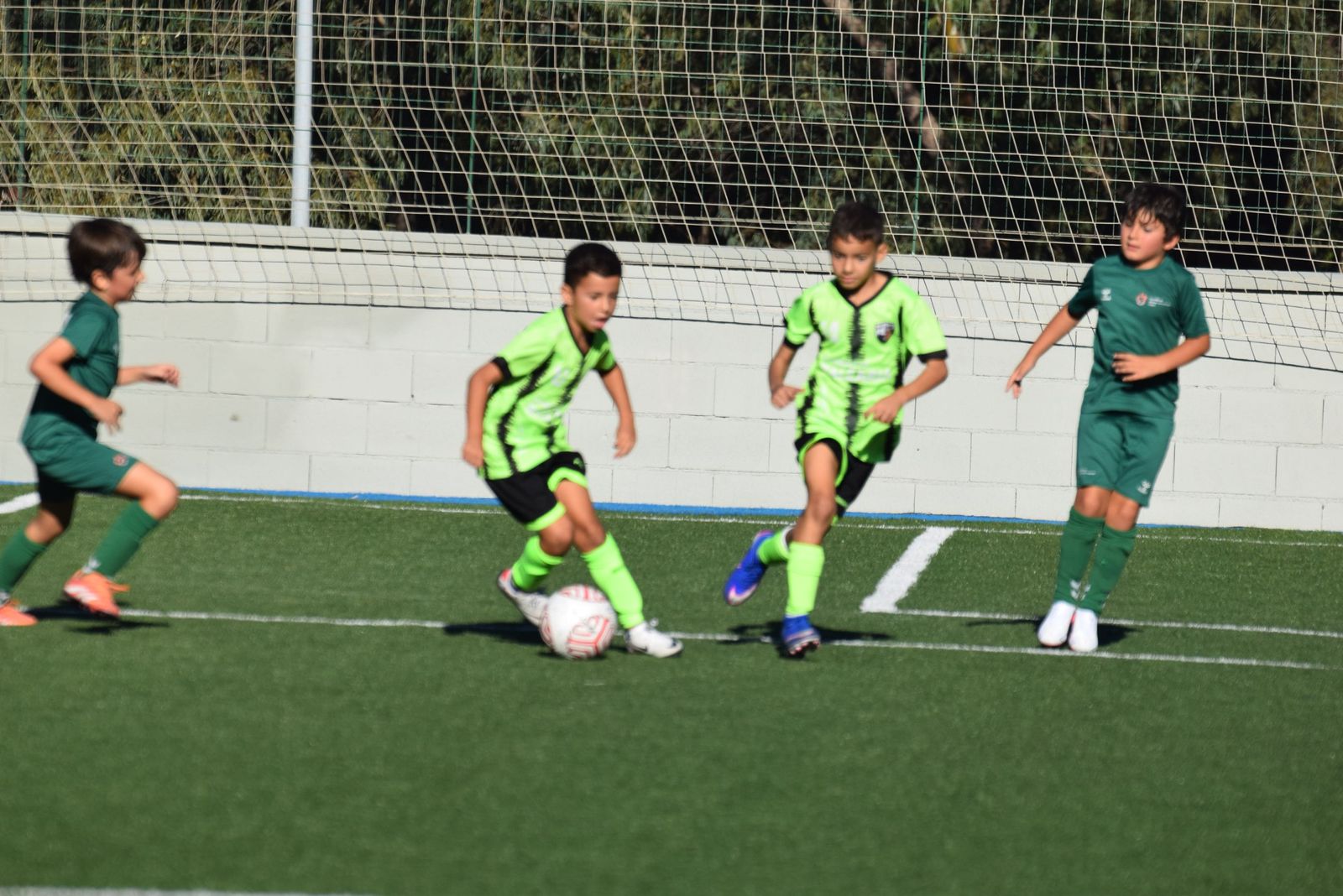 Liga Benjamín