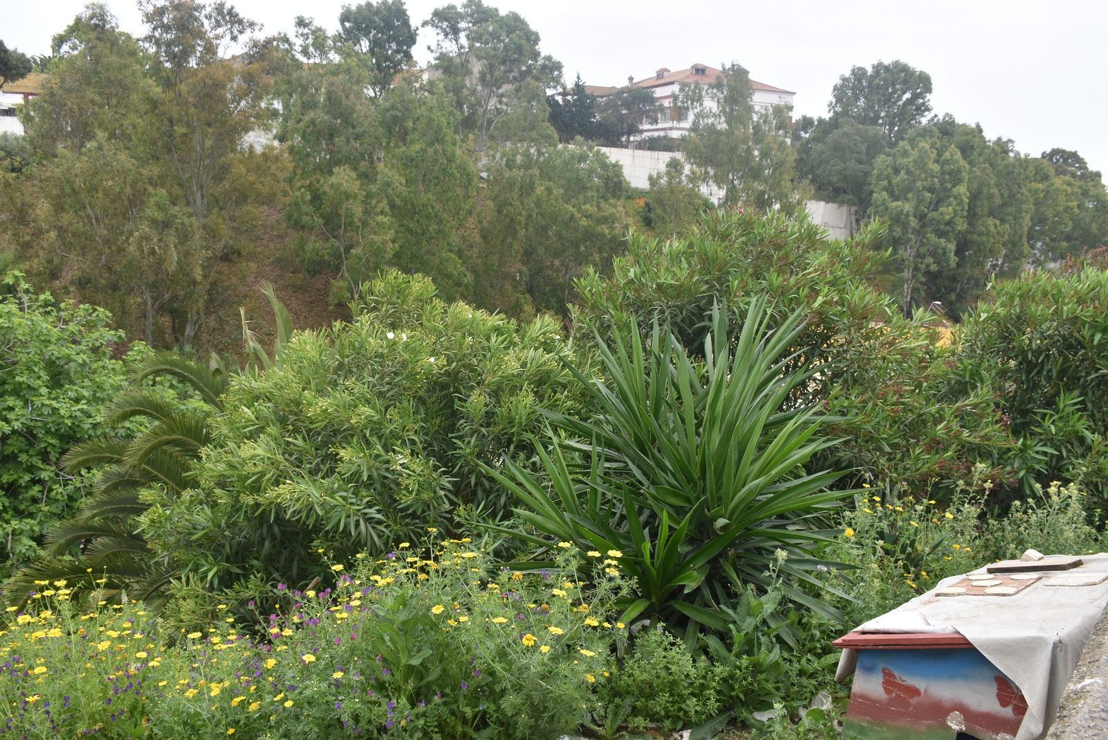 Los vecinos de Miramar Alto denuncian el abandono de una vaguada llena de basura y ratas