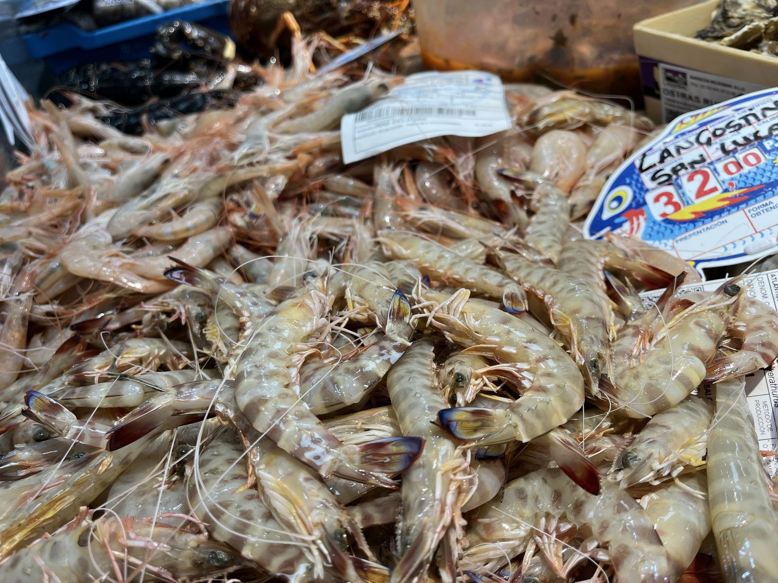 Imágenes de la pescadería de Younes en el Mercado Central.