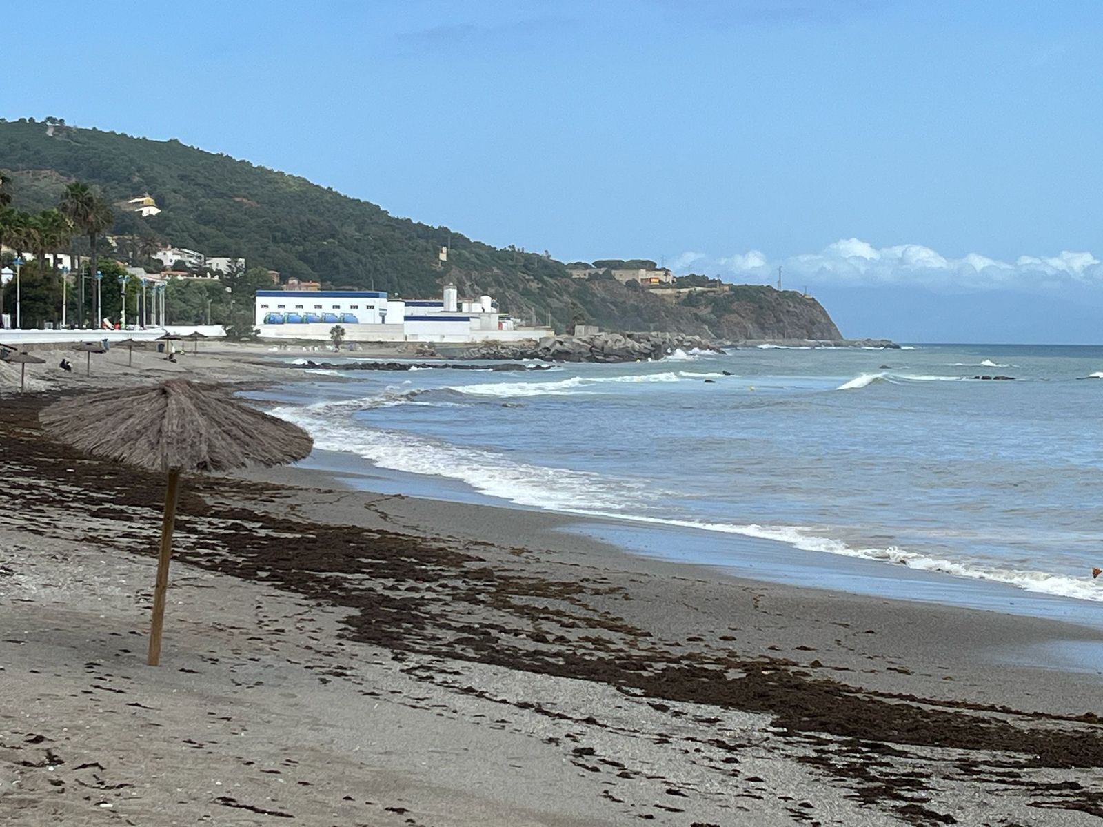 La Ciudad refuerza las tareas de limpieza en las playas ante la acumulación de algas por el levante