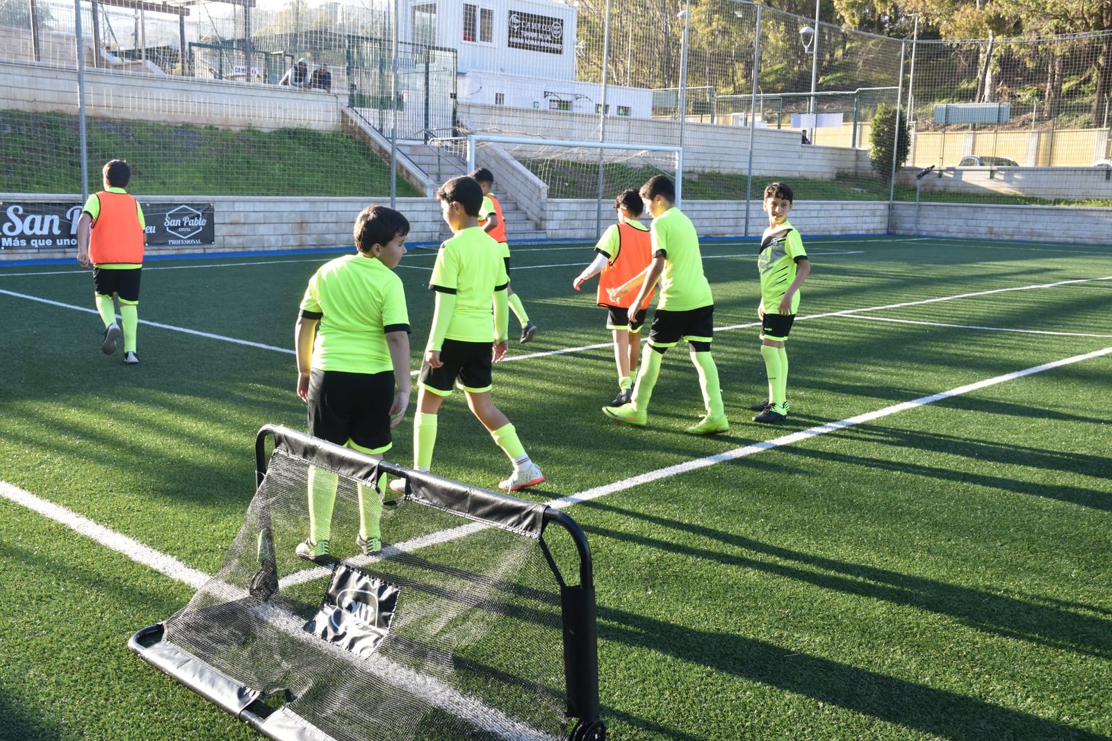 Campos del Príncipe