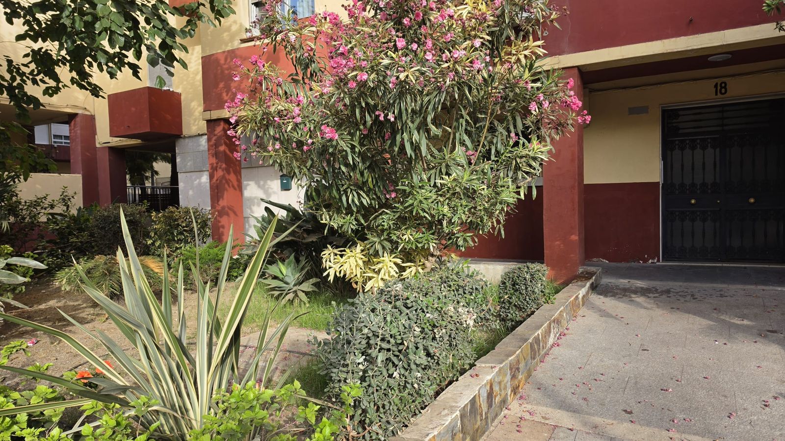 Imagen de la jardinera que se encuentra delante del portón 18 del Polígono Virgen de África