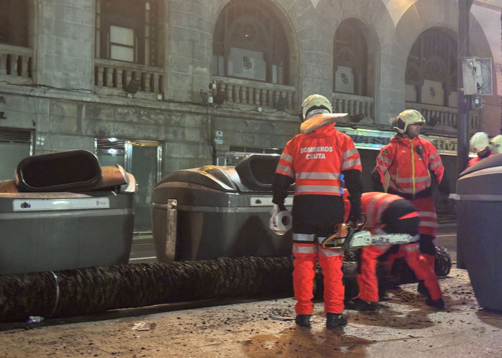 Los bomberos retiran una palmera caída en La Marina