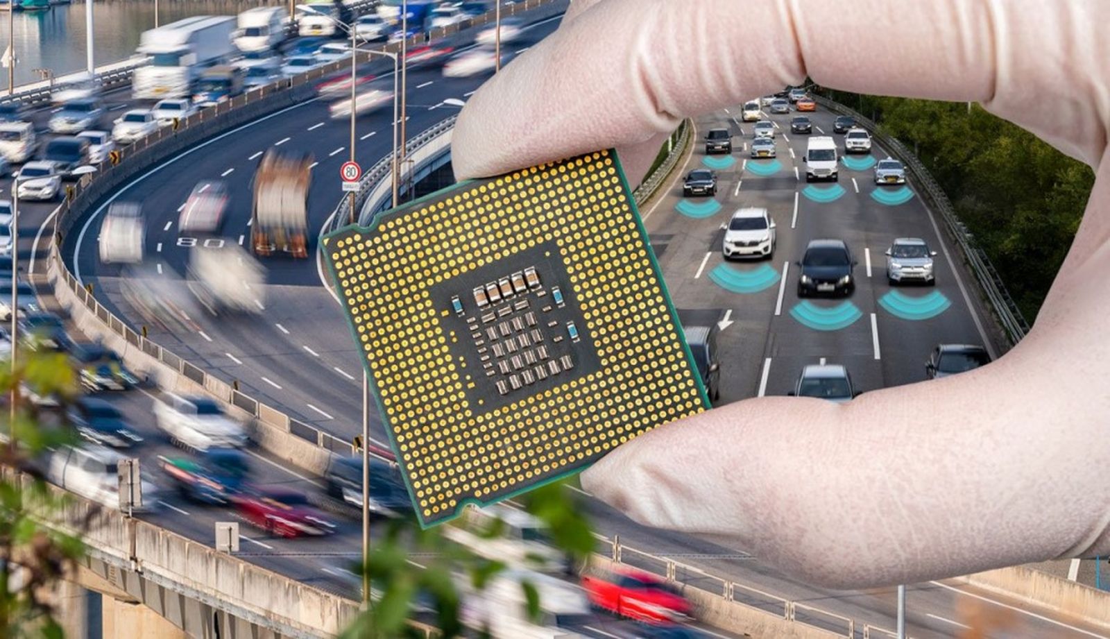 6343_microchips-coche