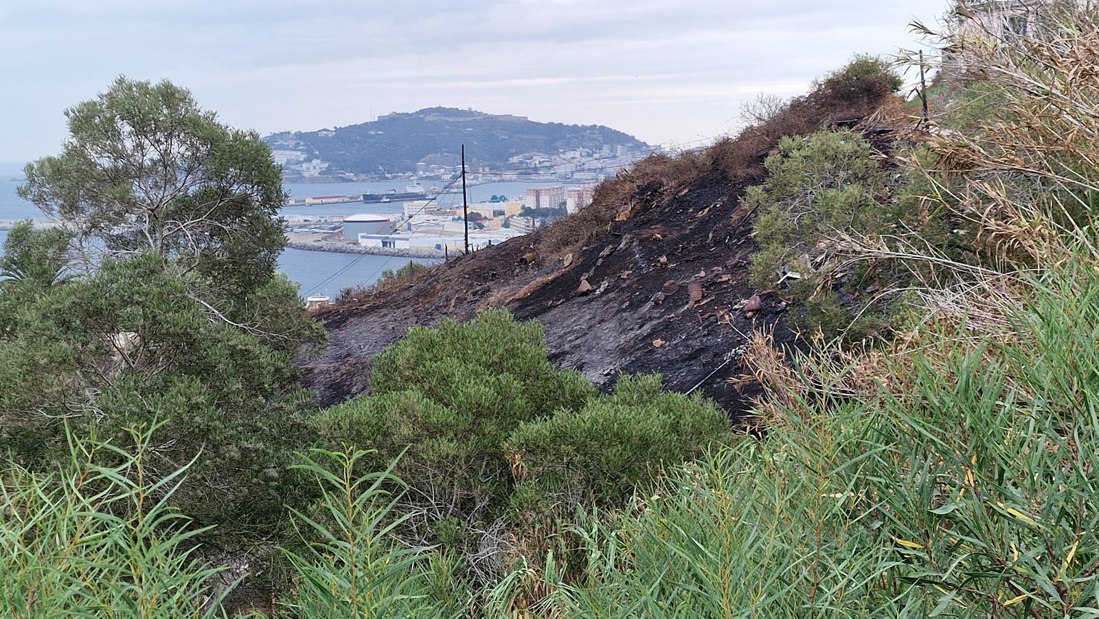 Zona calcinada del Pantano tras el incendio Zona calcinada del Pantano tras el incendio