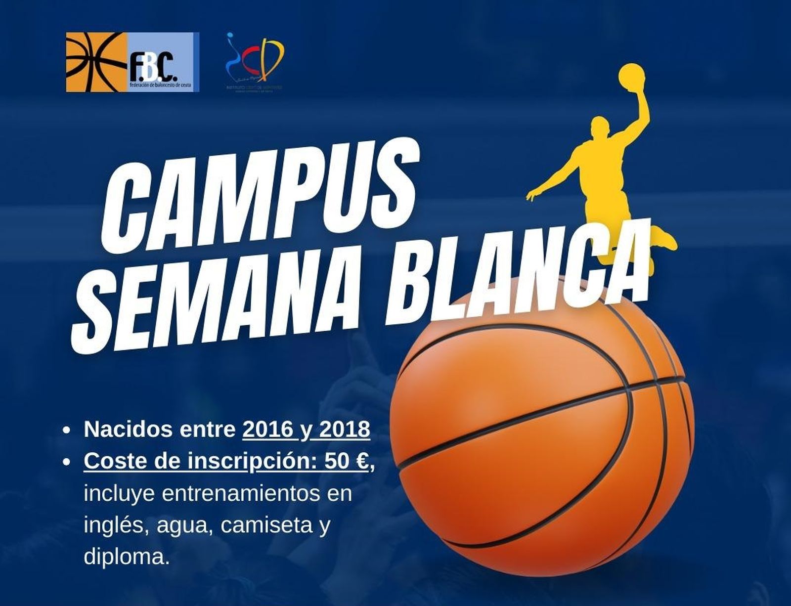 Cartel del Campus de la Federación de Baloncesto