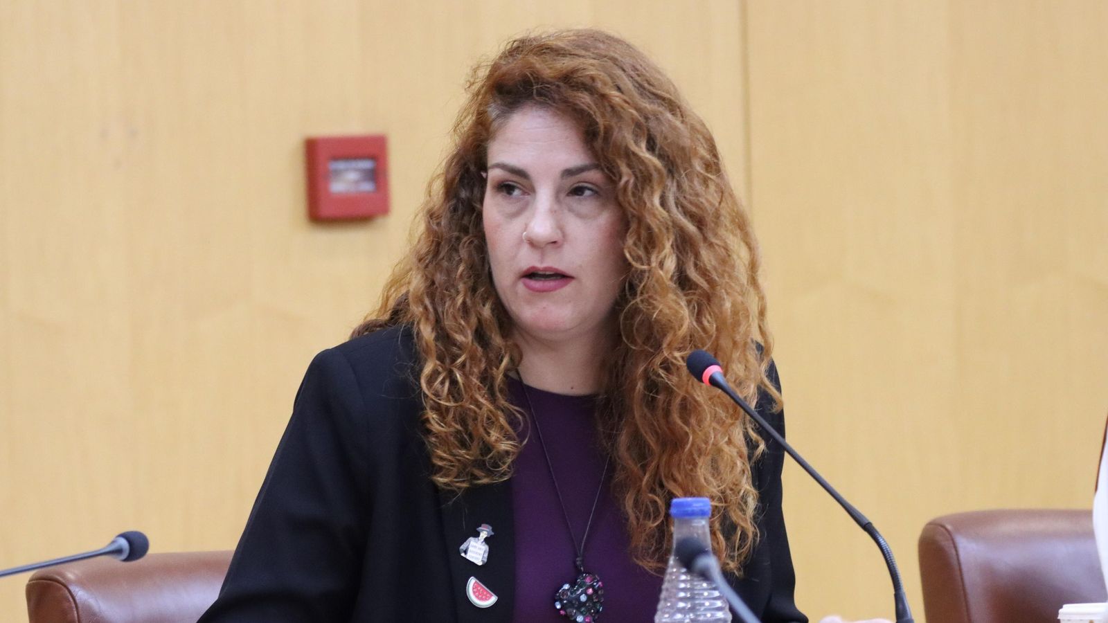 Julia Ferreras (Ceuta Ya!) habló de la falta de alumnos musulmanes en el Conservatorio