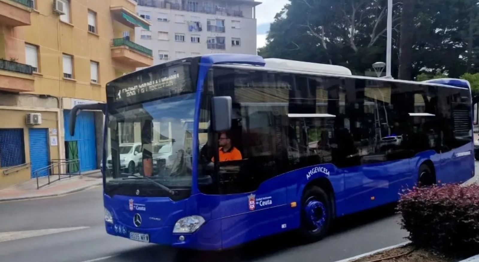 Autobús de AMGEVICESA