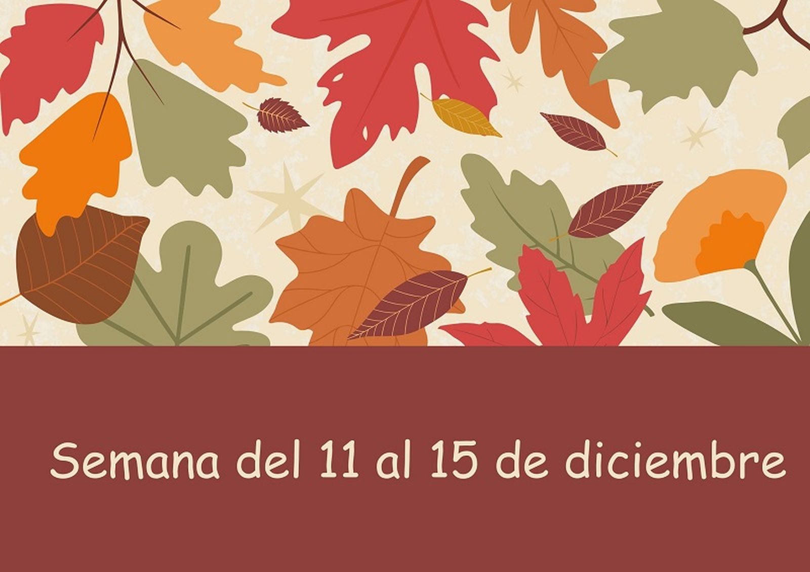 FOTO CEDIDA