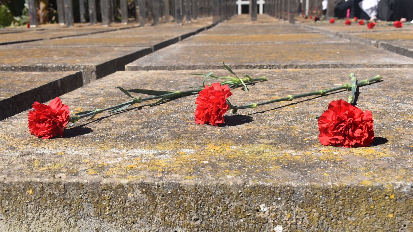 Rosas rojas para recordar a los sindicalistas fusilados