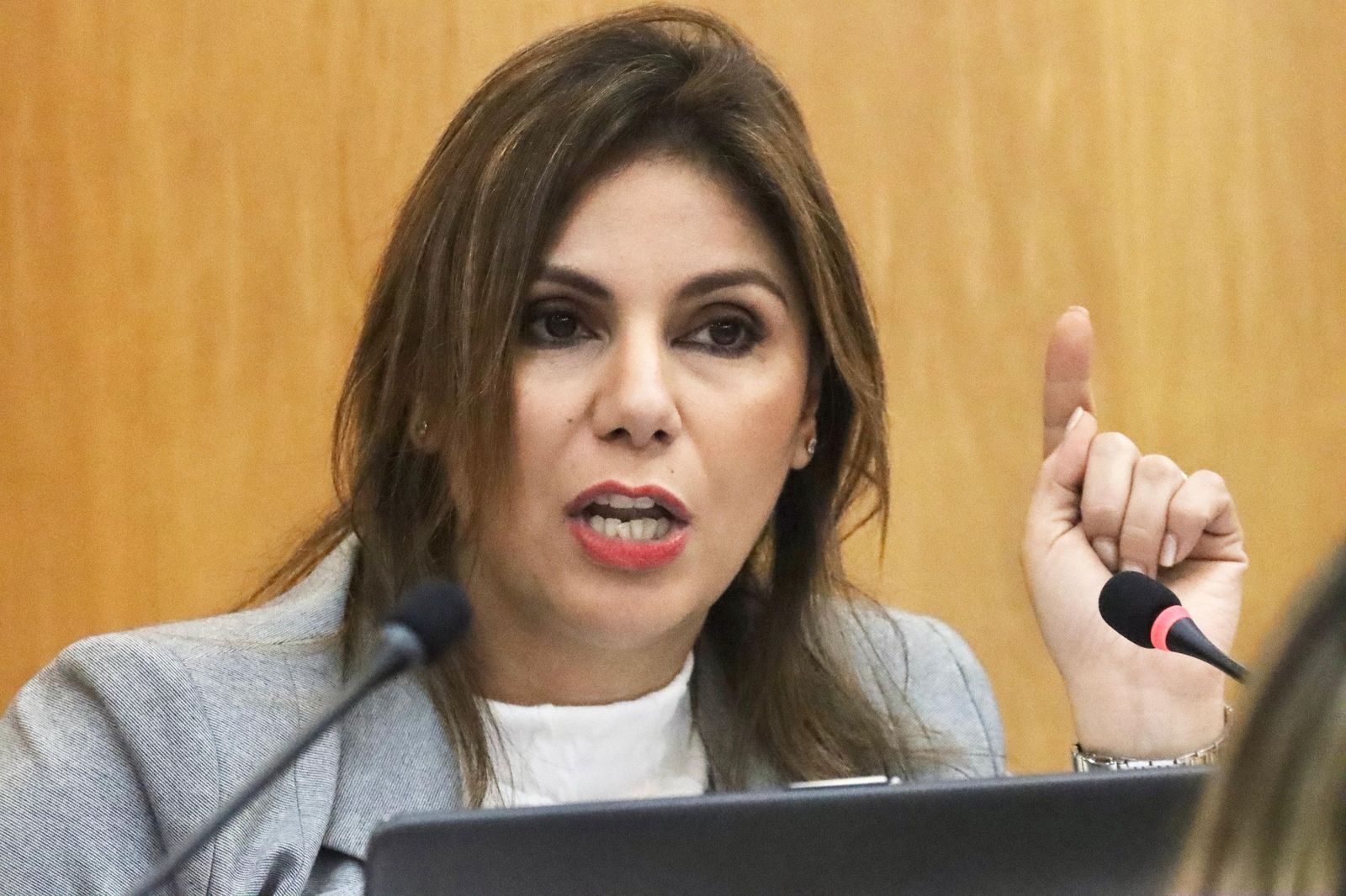 Nabila Benzina durante el pleno