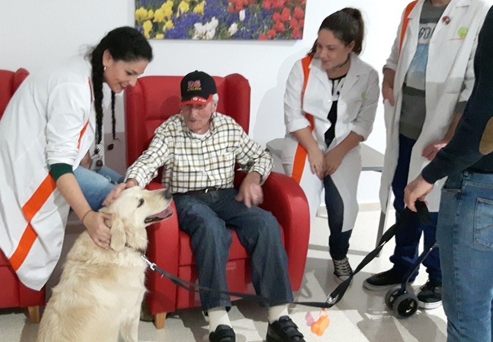 7421_resimayores