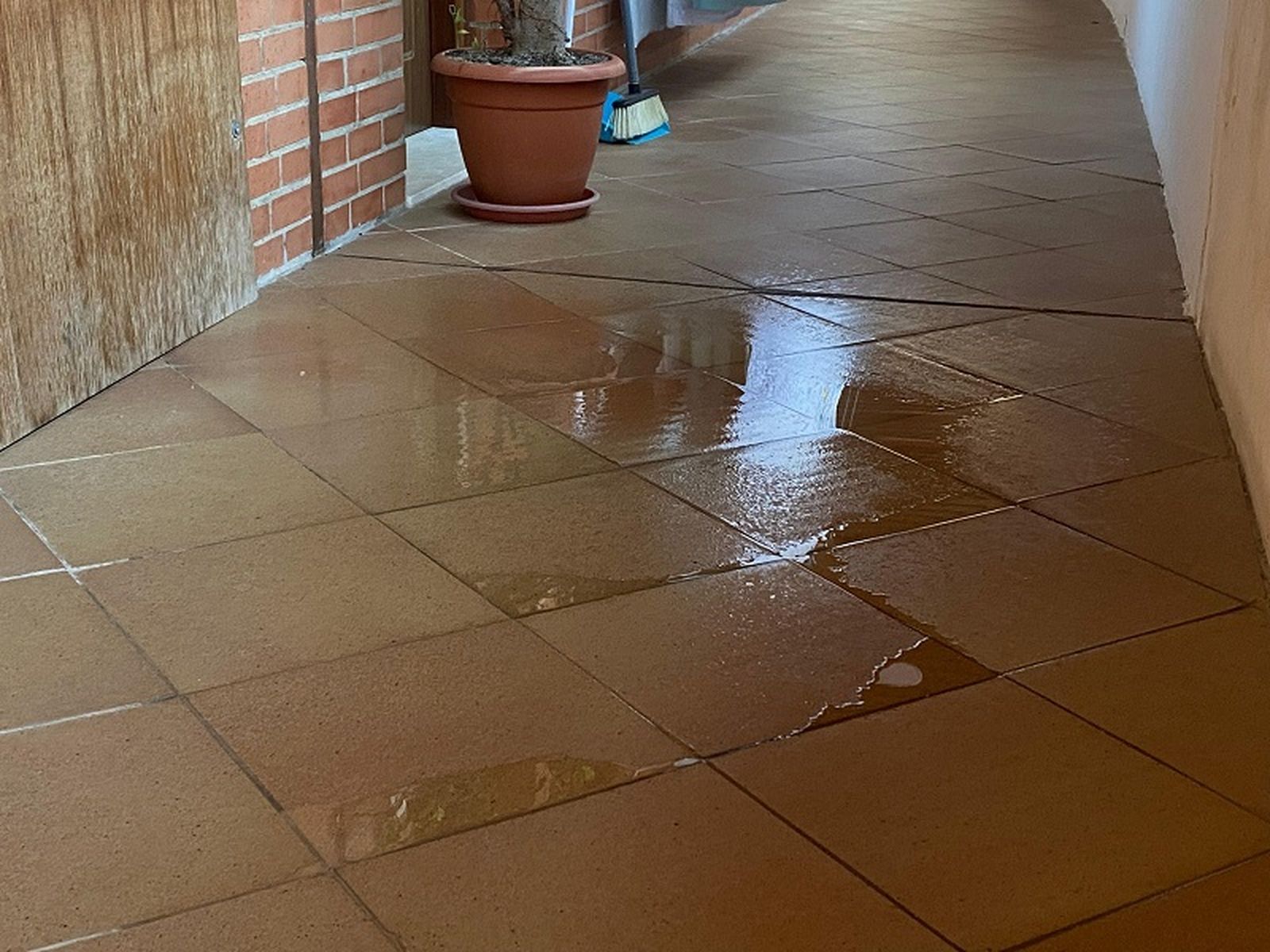 FOTO CEDIDA