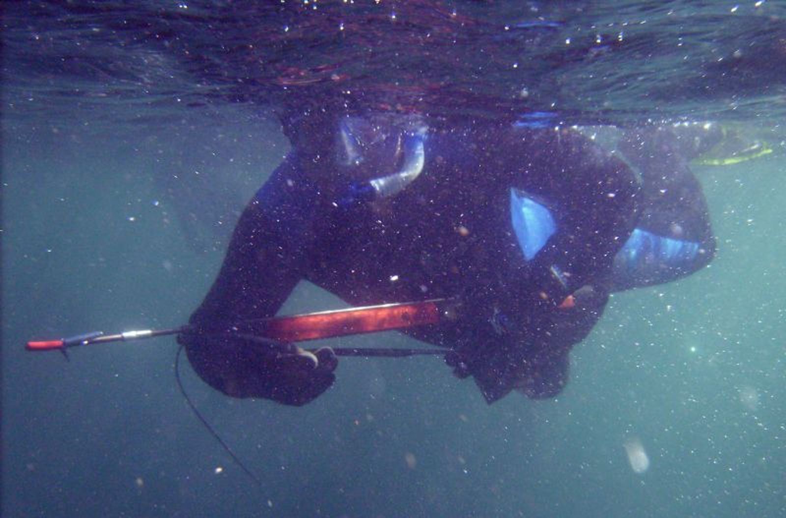 Imagen de archivo de la pesca submarina con fusil.
