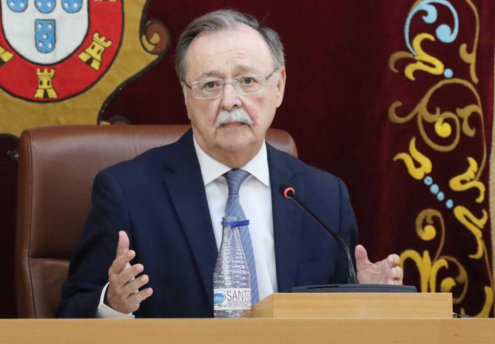 El presidente Vivas durante el pleno de este martes