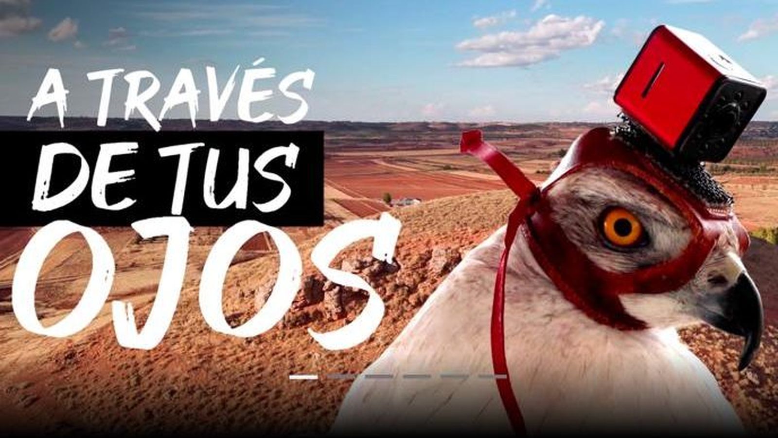 Cartel del documental