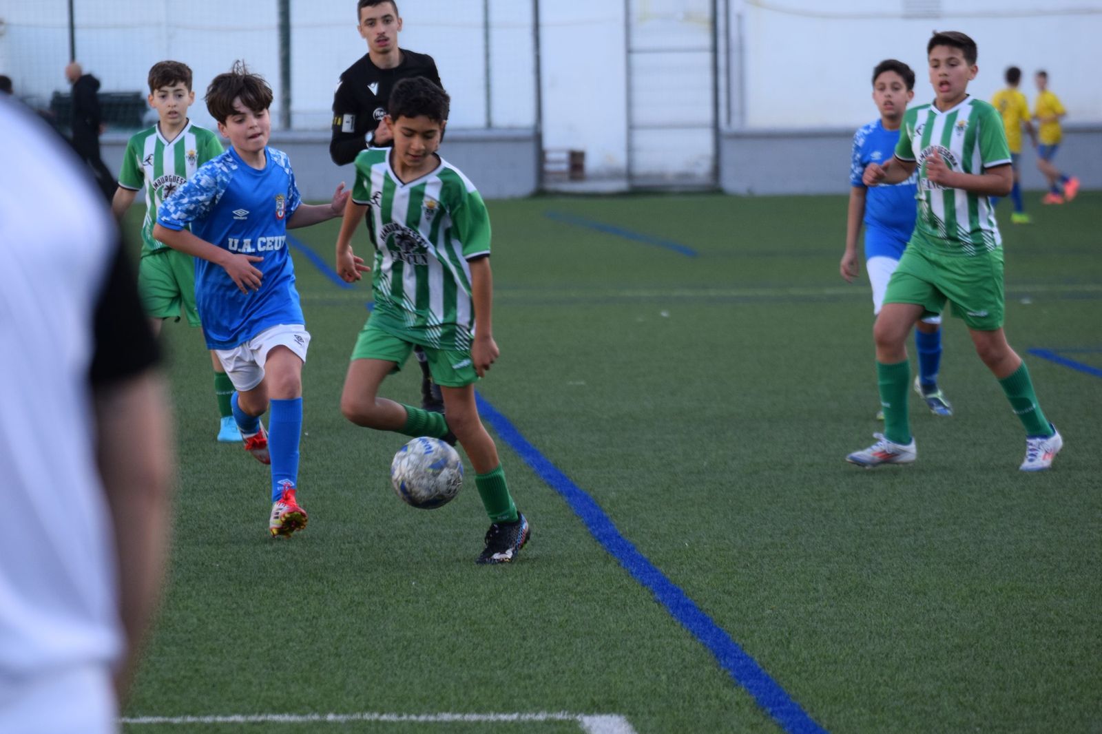 Liga Alevín de Fútbol-7