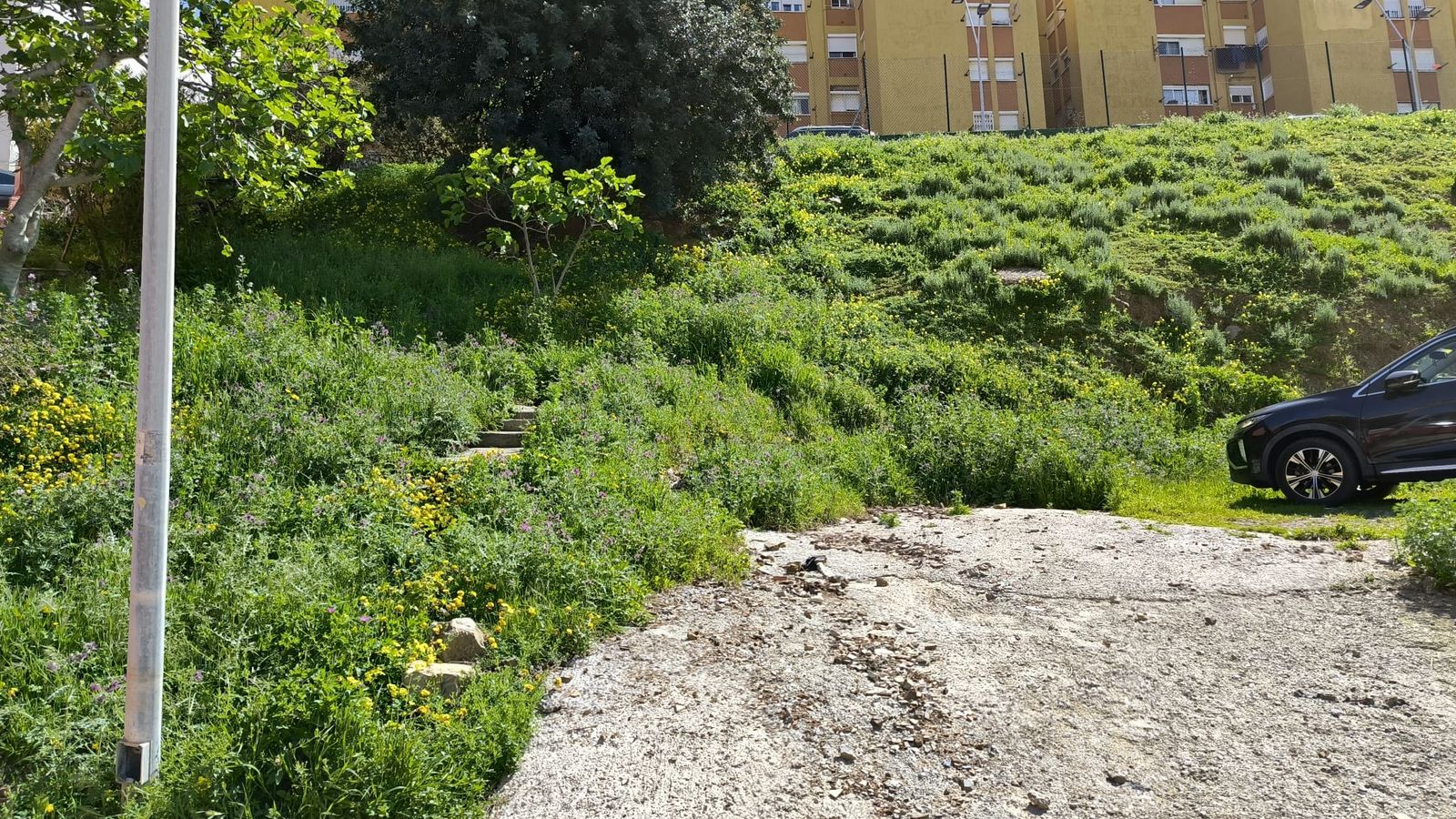 Ladera ajardinada sobre la que Ahmed plantó árboles y flores