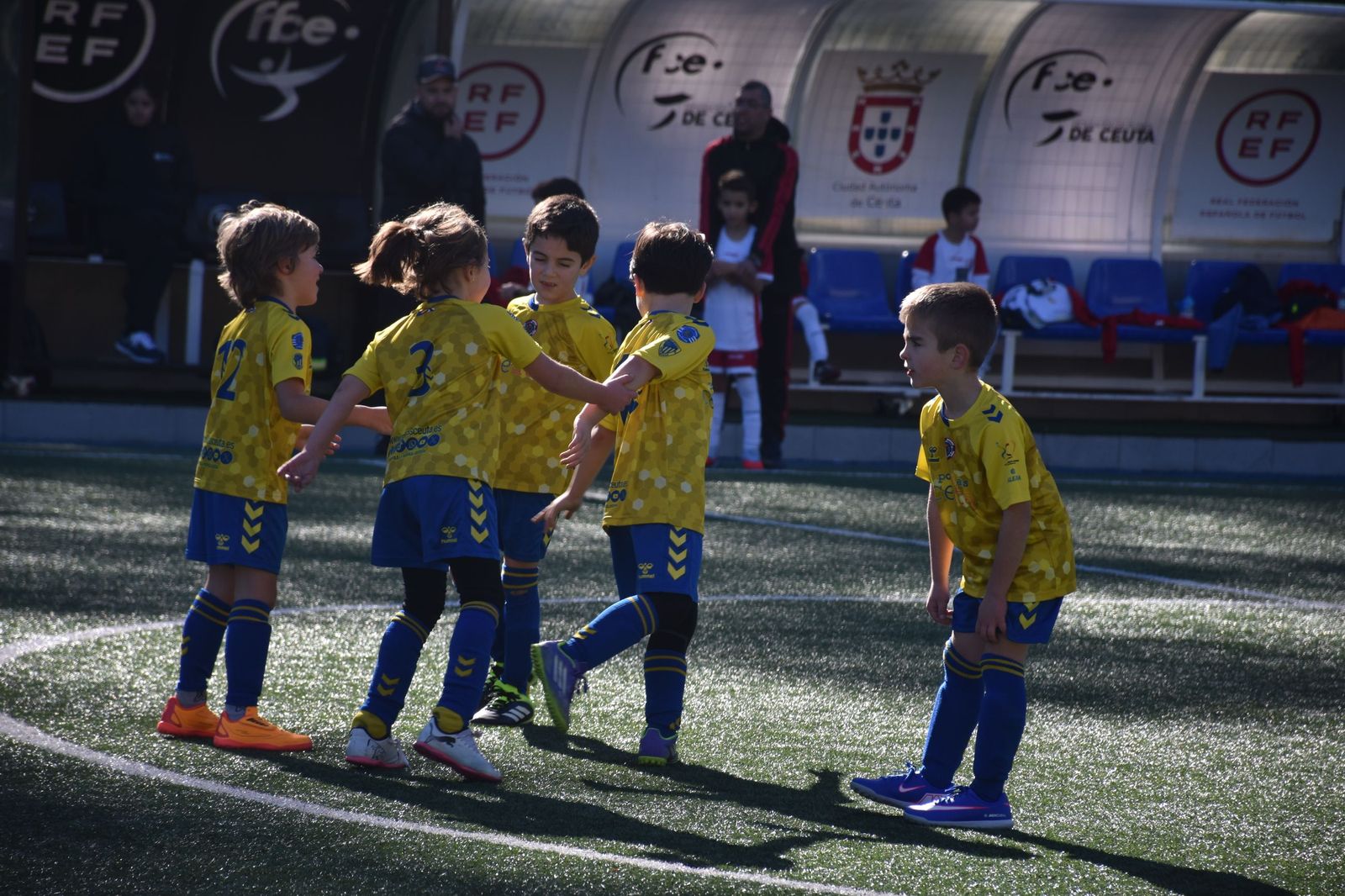 Cinco equipos lideran