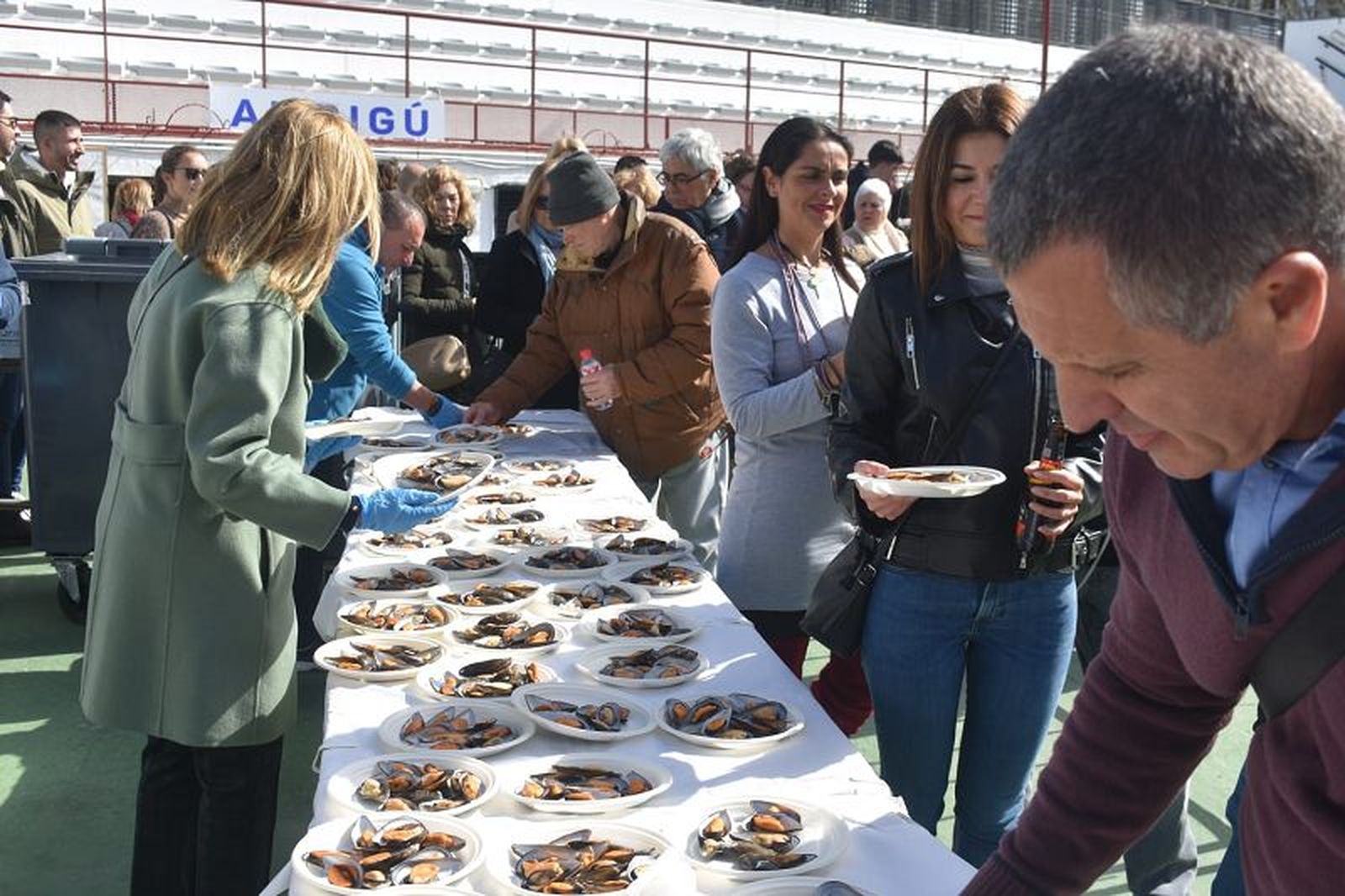 FOTO NICOL'S FOTO NICOL'S