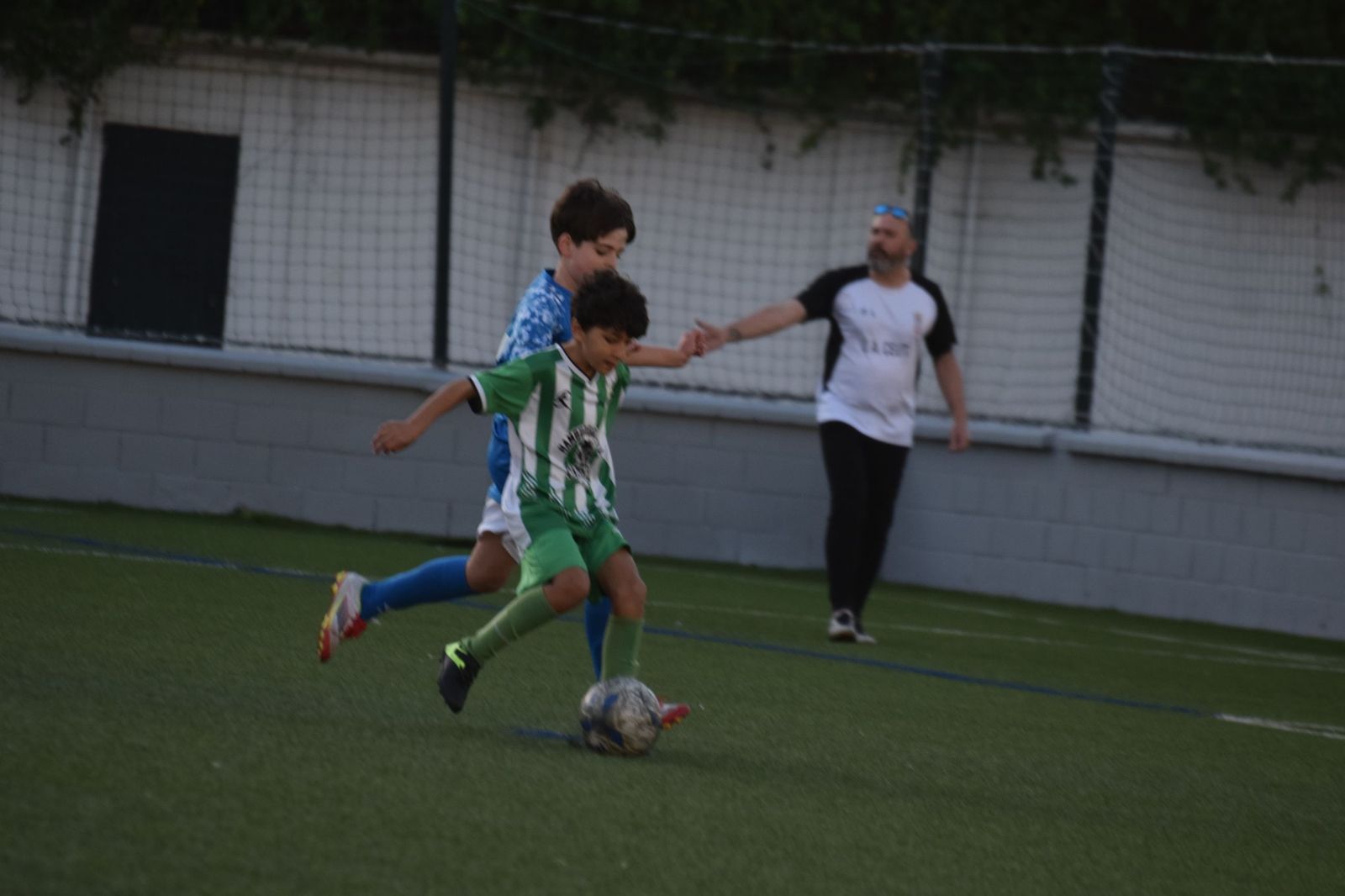 Liga Alevín de Fútbol-7